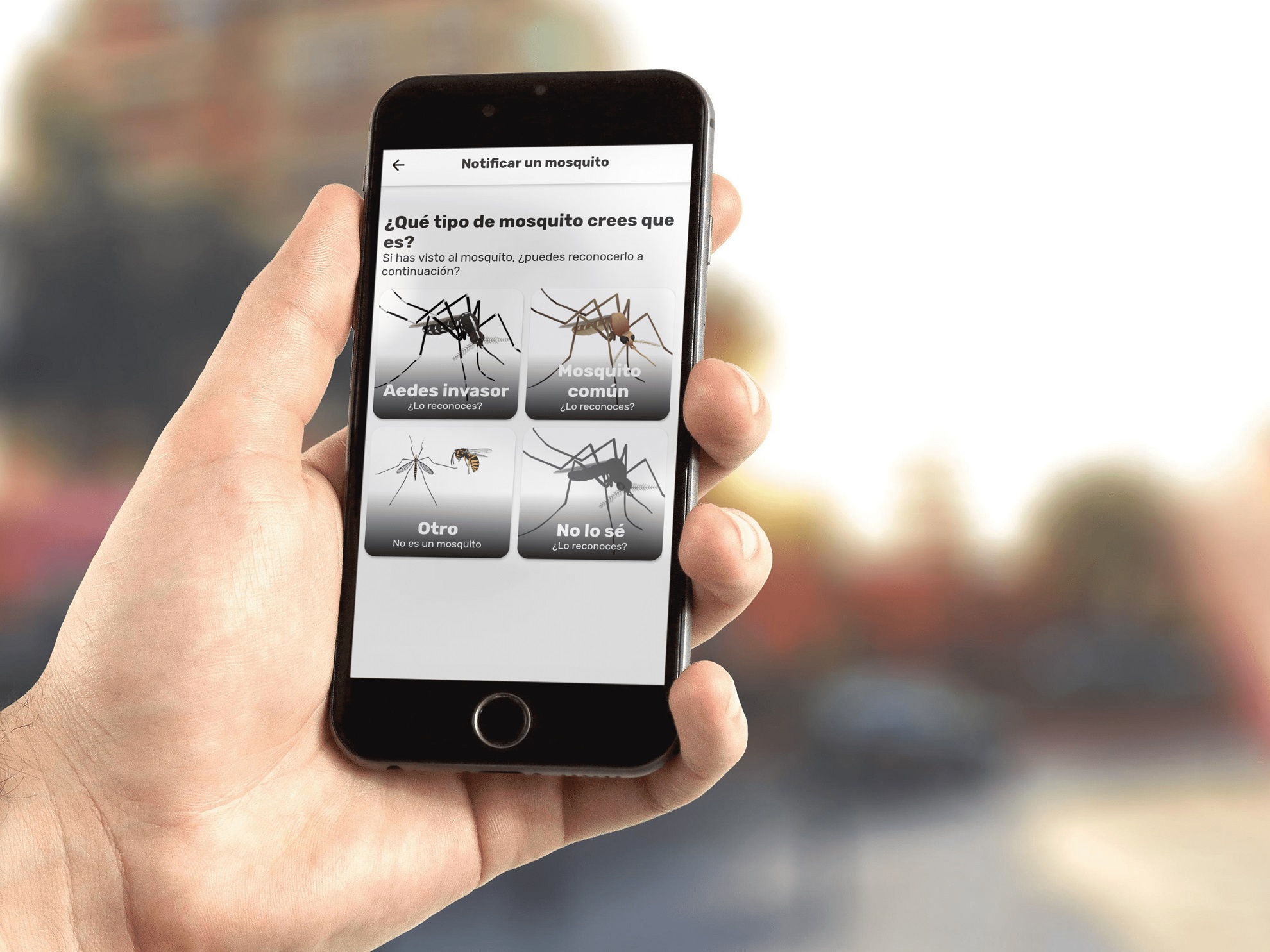 Ciencia Ciudadana Para El Estudio Y El Control De Mosquitos